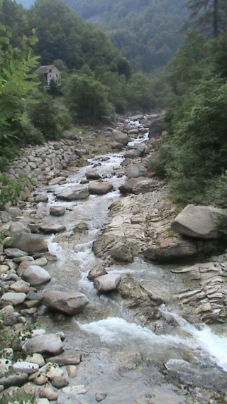 Inmersos en la naturaleza 
